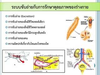  การขับถ่าย (Excretion)
 การขับถ่ายของสิ่งมีชีวิตเซลล์เดียว
 การขับถ่ายของสิ่งมีชีวิตหลายเซลล์
 การขับถ่ายของสัตว์มีกระดูกสันหลัง
 การขับถ่ายของคน
 ความผิดปกติเกี่ยวกับไตและโรคของไต
ระบบขับถ่ายกับการรักษาดุลยภาพของร่างกาย
 