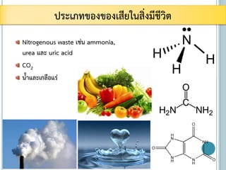 Nitrogenous waste เช่น ammonia,
urea และ uric acid
CO2
น้าและเกลือแร่
ประเภทของของเสียในสิ่งมีชีวิต
 