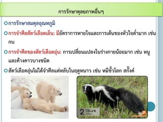 การรักษาสมดุลอุณหภูมิ
การจาศีลสัตว์เลือดเย็น: มีอัตราการหายใจและการเต้นของหัวใจต่ามาก เช่น
กบ
การจาศีลของสัตว์เลือดอุ่น: การเปลี่ยนแปลงในร่างกายน้อยมาก เช่น หนู
และค้างคาวบางชนิด
สัตว์เลือดอุ่นไม่ได้จาศีลแต่หลับในฤดูหนาว เช่น หมีขั้วโลก สกั๊งค์
การรักษาดุลยภาพอื่นๆ
 