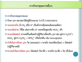  การรักษาสมดุลกรดเบส
 รักษา pH พลาสมาให้อยู่ที่ประมาณ 7.4 มี 3 กระบวนการ
 ระบบหายใจ: มี CO2 หรือ H+ เป็นตัวกระตุ้นพอนส์และเมดัลลา
 ระบบขับถ่าย: ใช้ไต เช่นการขับ H+ ออกหรือดูดกลับ HCO3
- เข้า
 ระบบบัฟเฟอร์: สารเคมีในเลือดทาปฏิกิริยาเพื่อปรับ pH เช่น คู่สาร H2CO3 /
HCO3
- คู่สาร H2PO4
- / HPO4
2- หรือโปรตีน เช่น hemoglobin
 กาลังในการรักษา pH: ไต (ออกเยอะ) > หายใจ (ออกทีละน้อย) > บัฟเฟอร์
(ปฏิกิริยาเคมี)
 ความเร็วในการรักษา pH: บัฟเฟอร์ (วินาที) > หายใจ (นาที) > ไต (ชั่วโมง)
การรักษาดุลยภาพอื่นๆ
 
