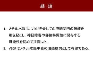 1. メチル水銀は，VEGFを介して血液脳関門の破綻を
引き起こし，神経障害や部位特異性に関与する
可能性を初めて指摘した．
2. VEGFはメチル水銀中毒の治療標的として有望である．
結 語
 