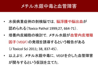 • 水俣病重症例の剖検脳では，脳浮腫や脳出血が
認められる（Toxico Pathol 1999;27, 664-71）．
• 培養内皮細胞の検討で，メチル水銀が血管内皮増殖
因子（VEGF）の発現を誘導するという報告がある
（J Toxicol Sci 2011; 38, 837-45）．
• 以上より，メチル水銀中毒に，VEGFを介した血管障害
が関与するという仮説を立てた．
メチル水銀中毒と血管障害
 