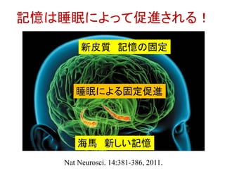 海馬 新しい記憶
新皮質 記憶の固定
Nat Neurosci. 14:381-386, 2011.
記憶は睡眠によって促進される！
睡眠による固定促進
 