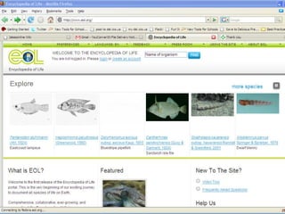 Encyclopedia of Life 