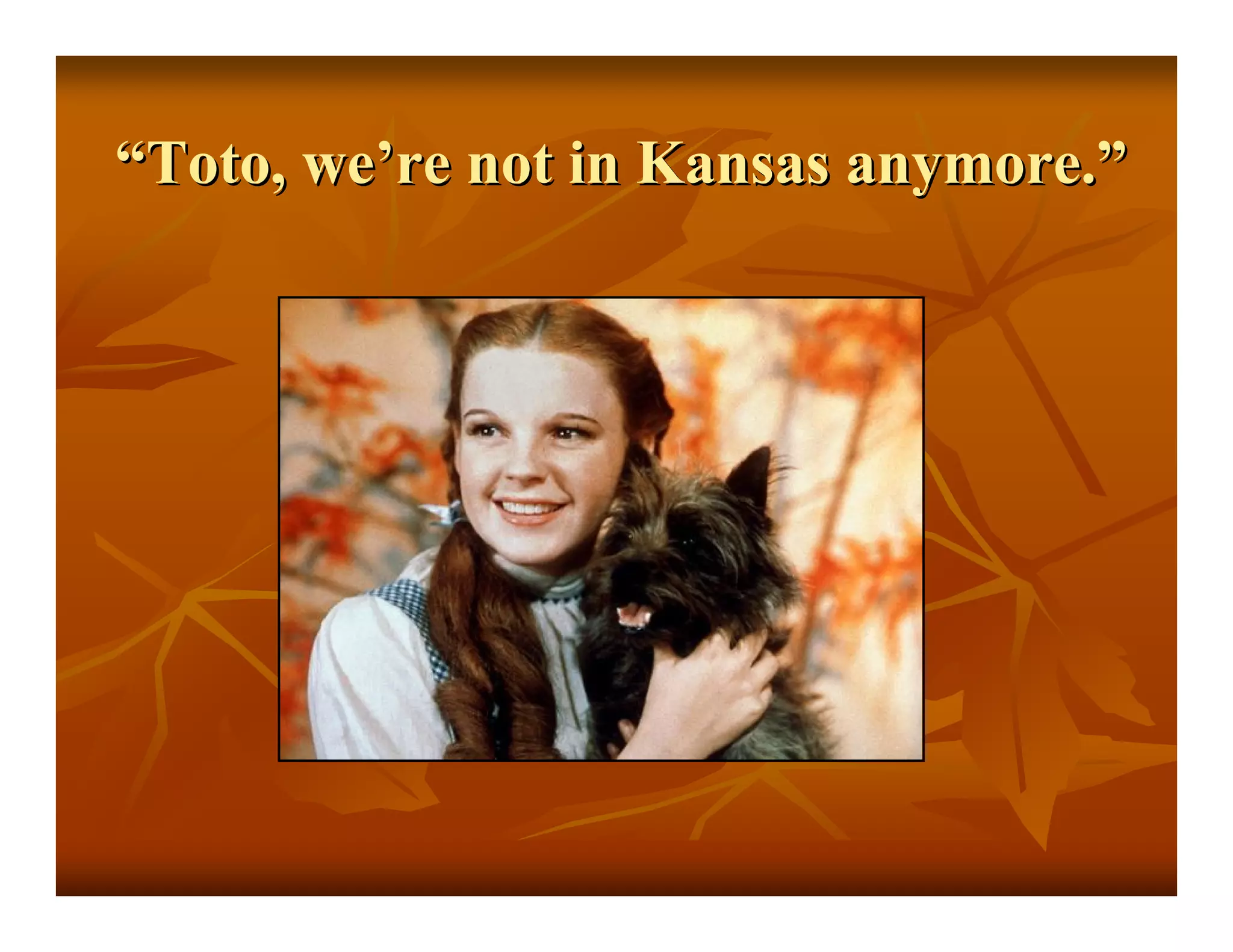 Web 2 Whats In Your Basket