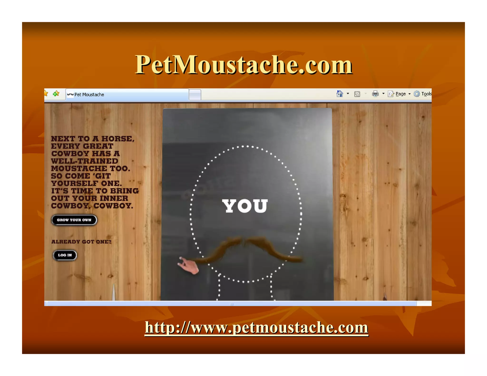 Web 2 Whats In Your Basket