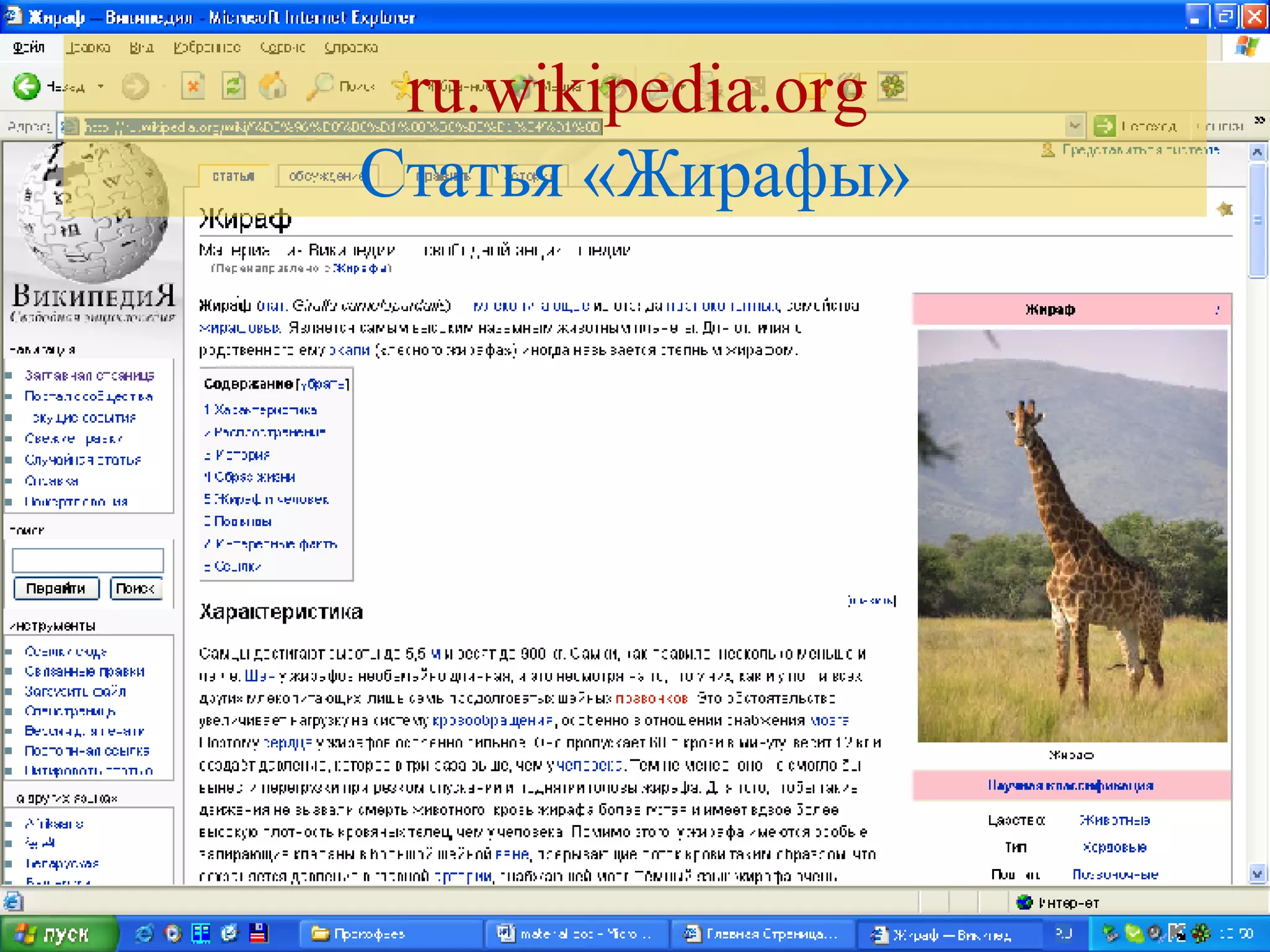 ru.wikipedia.org Статья «Жирафы» 