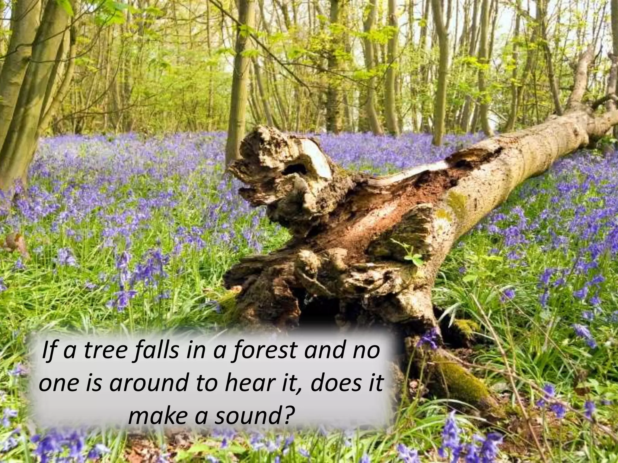 If a tree falls in a forest and noone is around to hear it, does it make a sound? 