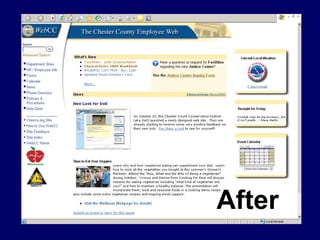 Web Based Internal Communication (Local Government Intranets)