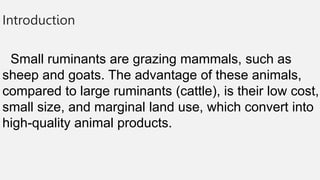 Introduction
Small ruminants are grazing mammals, such as
sheep and goats. The advantage of these animals,
compared to large ruminants (cattle), is their low cost,
small size, and marginal land use, which convert into
high-quality animal products.
 