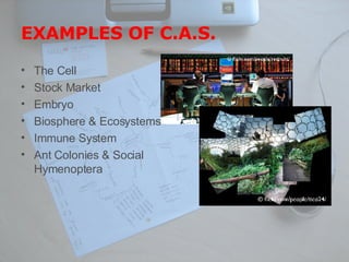 EXAMPLES OF C.A.S. The Cell Stock Market Embryo Biosphere & Ecosystems Immune System Ant Colonies & Social Hymenoptera 