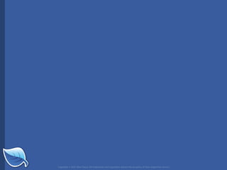 Web Builder 2.0 Workshop:  iPhone Design and Development Workshop