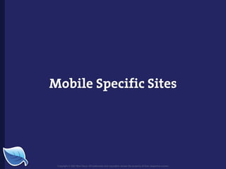 Web Builder 2.0 Workshop:  iPhone Design and Development Workshop