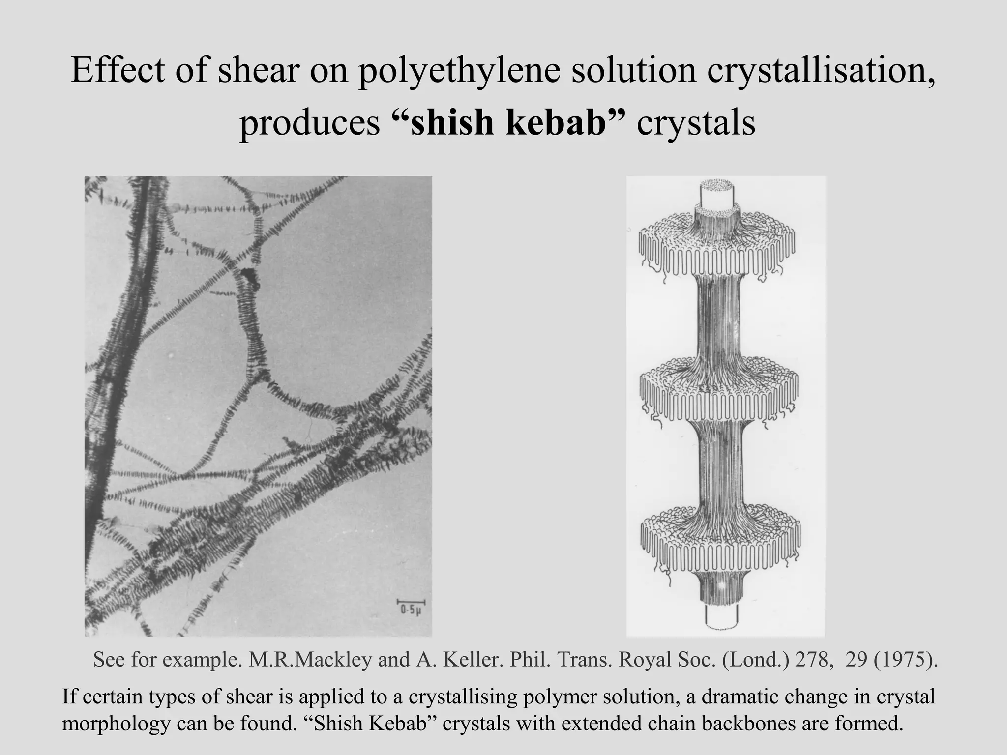 Effect of shear on polyethylene solution crystallisation,
produces “shish kebab” crystals
See for example. M.R.Mackley and A. Keller. Phil. Trans. Royal Soc. (Lond.) 278, 29 (1975).
If certain types of shear is applied to a crystallising polymer solution, a dramatic change in crystal
morphology can be found. “Shish Kebab” crystals with extended chain backbones are formed.
 