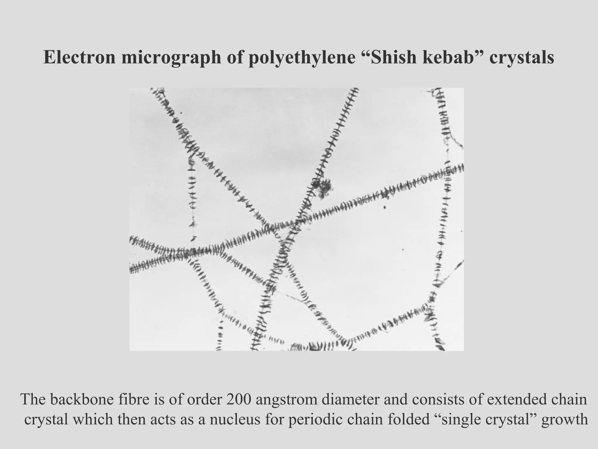 Electron micrograph of polyethylene “Shish kebab” crystals
The backbone fibre is of order 200 angstrom diameter and consists of extended chain
crystal which then acts as a nucleus for periodic chain folded “single crystal” growth
 