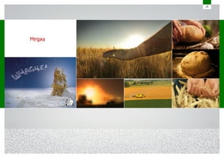 «Гаспадар» presentation