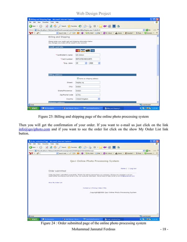 Web Design Project Report