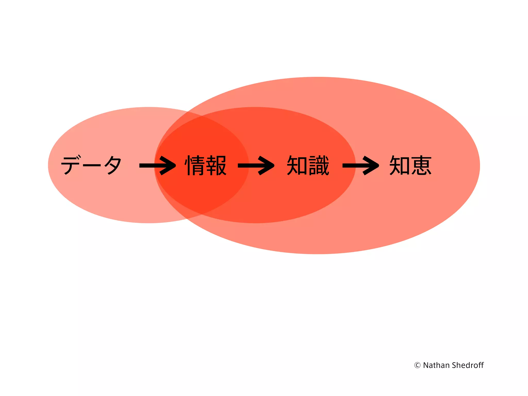 © Nathan Shedroff
データ 情報 知識 知恵
 