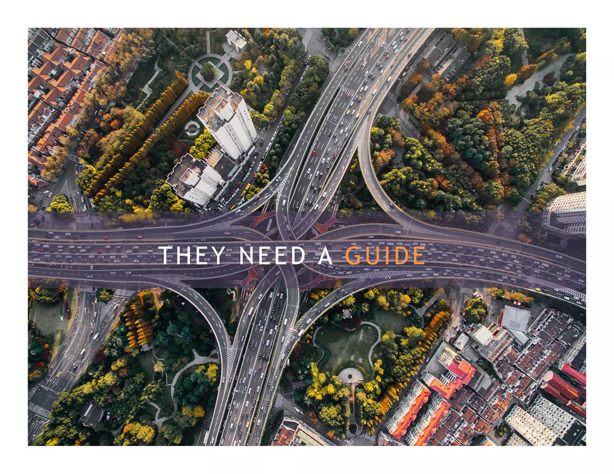 THEY NEED A GUIDE
 