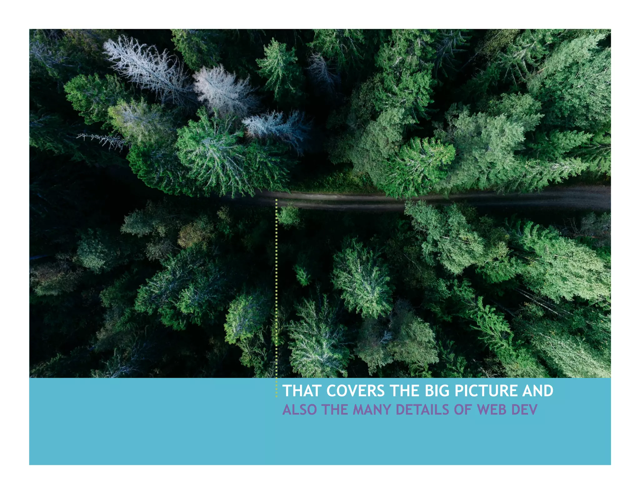 THAT COVERS THE BIG PICTURE AND
ALSO THE MANY DETAILS OF WEB DEV
 