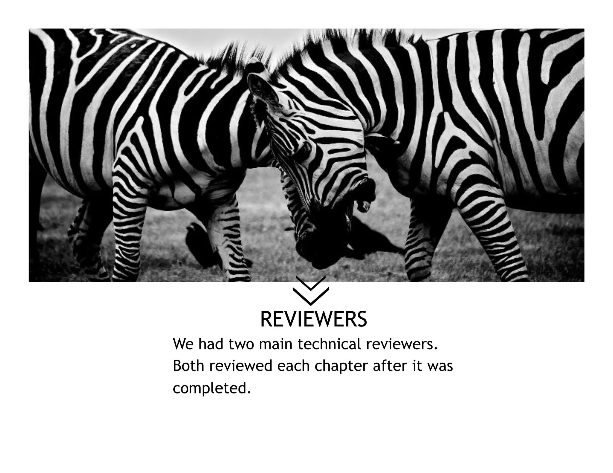 REVIEWERS
We had two main technical reviewers.
Both reviewed each chapter after it was
completed.
 