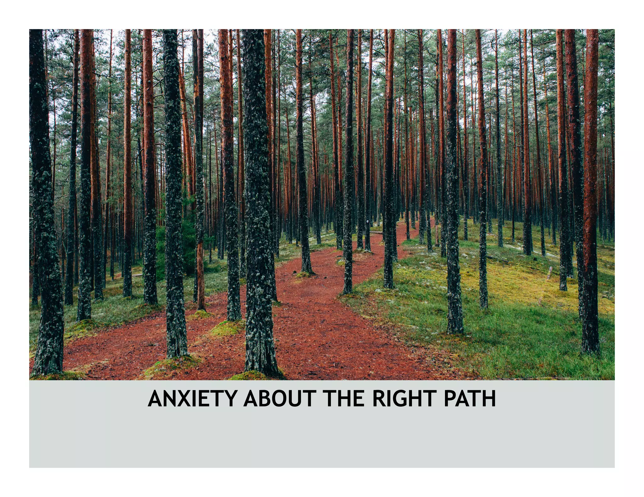 ANXIETY ABOUT THE RIGHT PATH
 