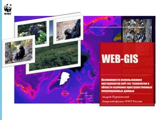 Андрей Пуреховский 
Амурский филиал WWF России 
29 Ноябрь, 2014 - 1 
WEB-GIS 
Возможности использования 
инструментов веб-гис технологии в 
области изучения пространственных 
популяционных данных 
 
