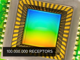 100.000.000 RECEPTORS

 
