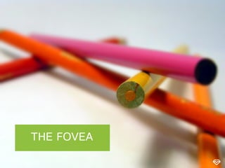 THE FOVEA

 