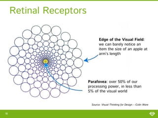 Retinal Receptors
Edge of the Visual Field:
we can barely notice an
item the size of an apple at
arm’s length

Parafovea: over 50% of our
processing power, in less than
5% of the visual world
Source: Visual Thinking for Design – Colin Ware
18

 
