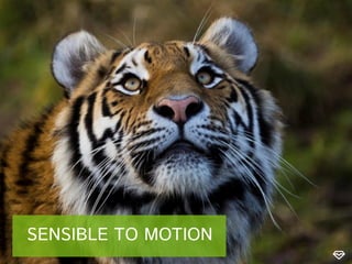 SENSIBLE TO MOTION

 