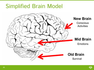 Simplified Brain Model
New Brain
Conscious
Activities

Mid Brain
Emotions

Old Brain
Survival
45

 