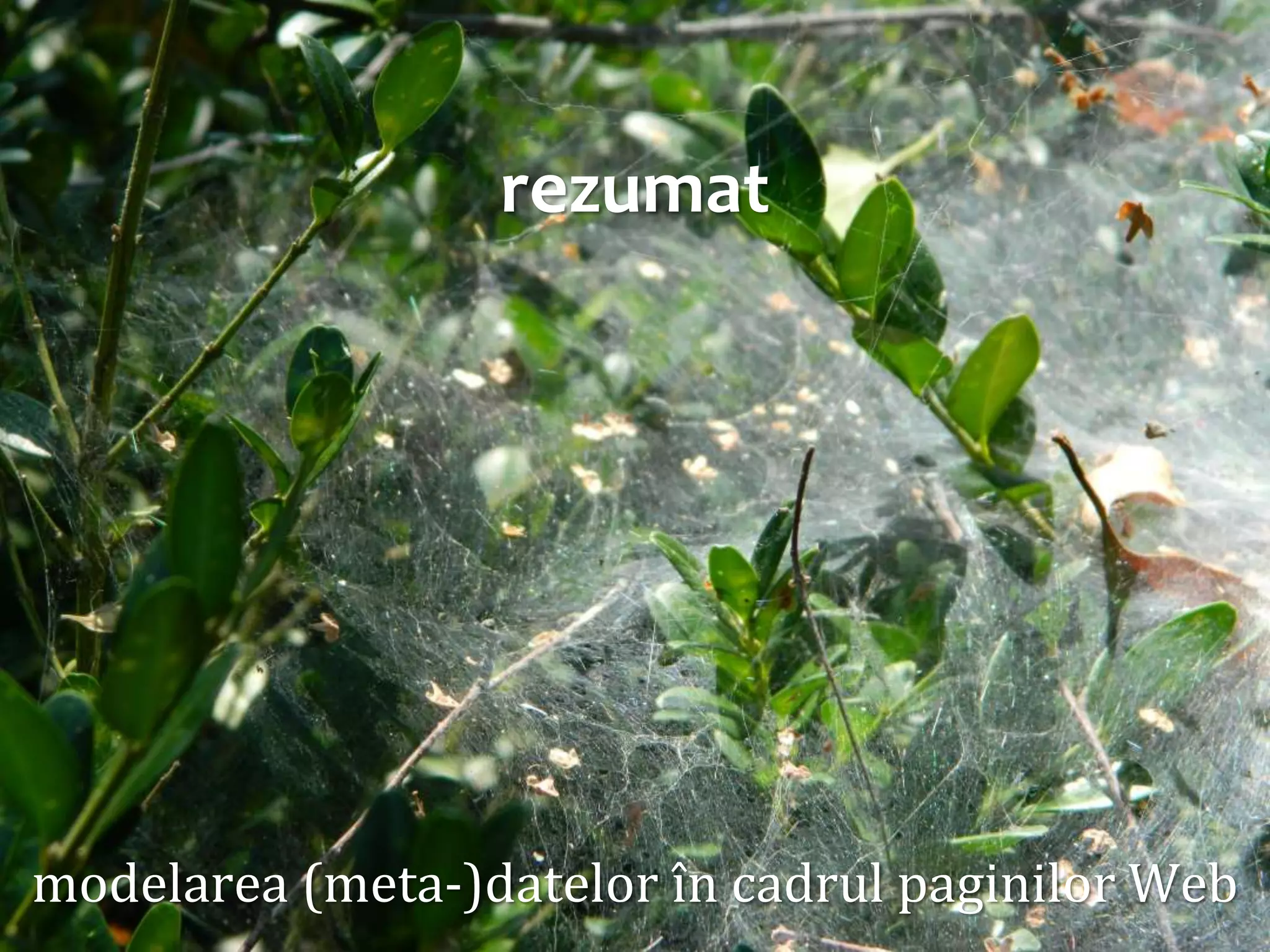 Dr. Sabin Buragawww.purl.org/net/busaco

rezumat

modelarea (meta-)datelor în cadrul paginilor Web

 