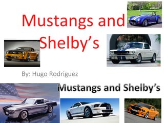 By: Hugo Rodriguez  Mustangs and Shelby’s  