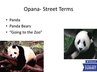 Opana- Street Terms
• Panda
• Panda Bears
• “Going to the Zoo”
 