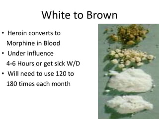 White to Brown
• Heroin converts to
Morphine in Blood
• Under influence
4-6 Hours or get sick W/D
• Will need to use 120 to
180 times each month
 