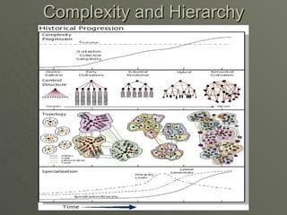 Complexity and Hierarchy 