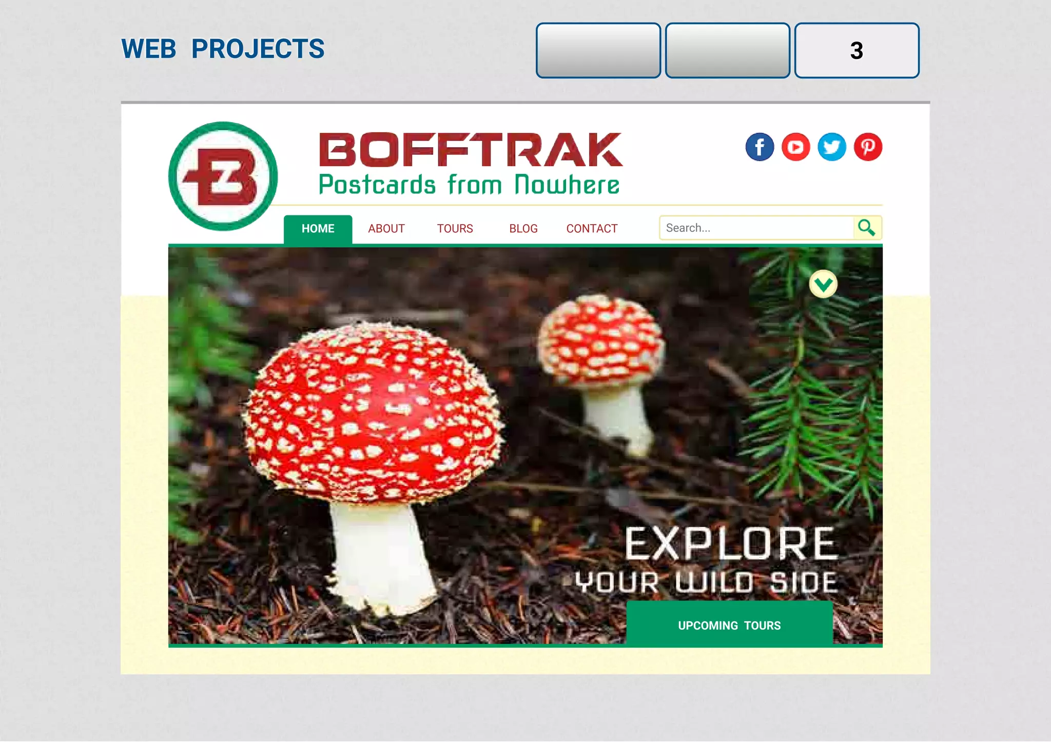 WEB PROJECTS 3
HOME ABOUT TOURS BLOG CONTACT Search...
UPCOMING TOURS