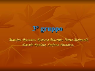 3° gruppo Martina Pecoraro, Rebecca Macripò, Ilaria Meinardi, Davide Raviolo, Stefano Paradiso.  