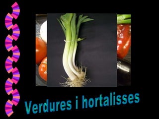 Verdures i hortalisses 