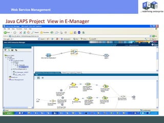 Billing Per Hour Web Service Management  Java CAPS Project  View in E-Manager 