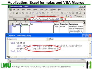 Application: Excel formulas and VBA Macros 
