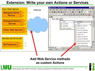 Extension: Write your own Actions or Services Add Web Service methods as custom Actions 