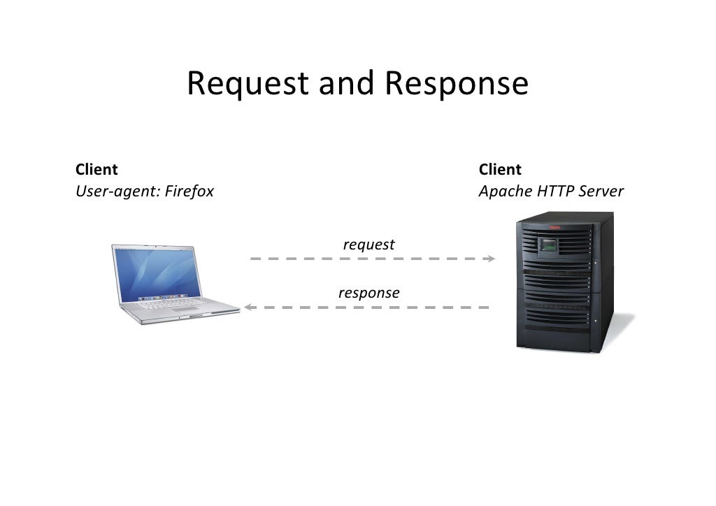 Intro to Dynamic Web Pages