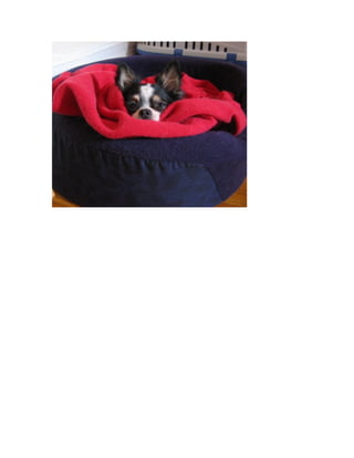 Web Technologies Final