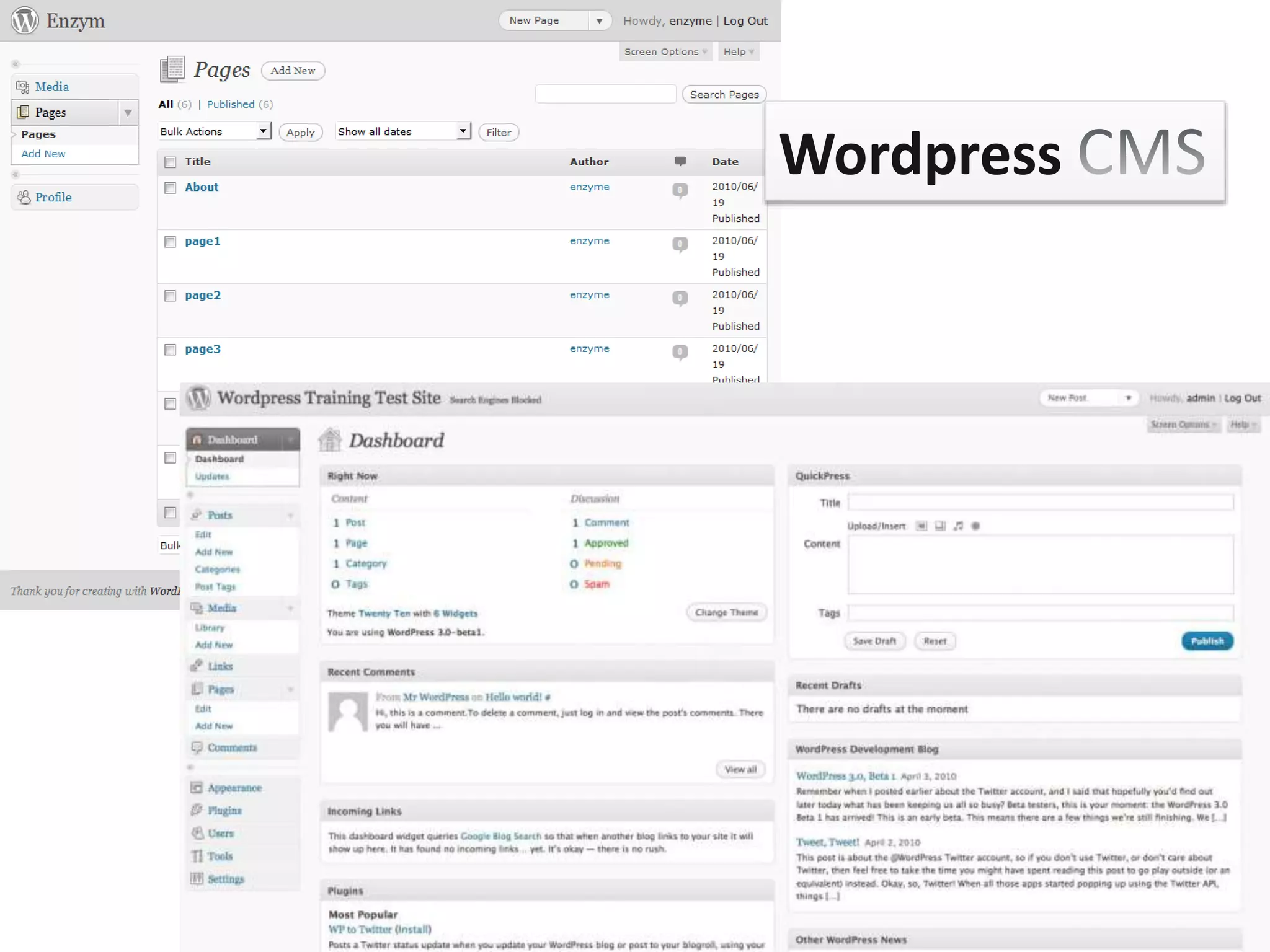 Wordpress
 