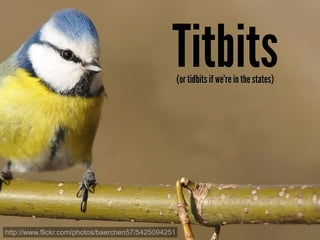 Titbits
                                                     (or tidbits if we're in the states)




http://www.flickr.com/photos/baerchen57/5425094251
 