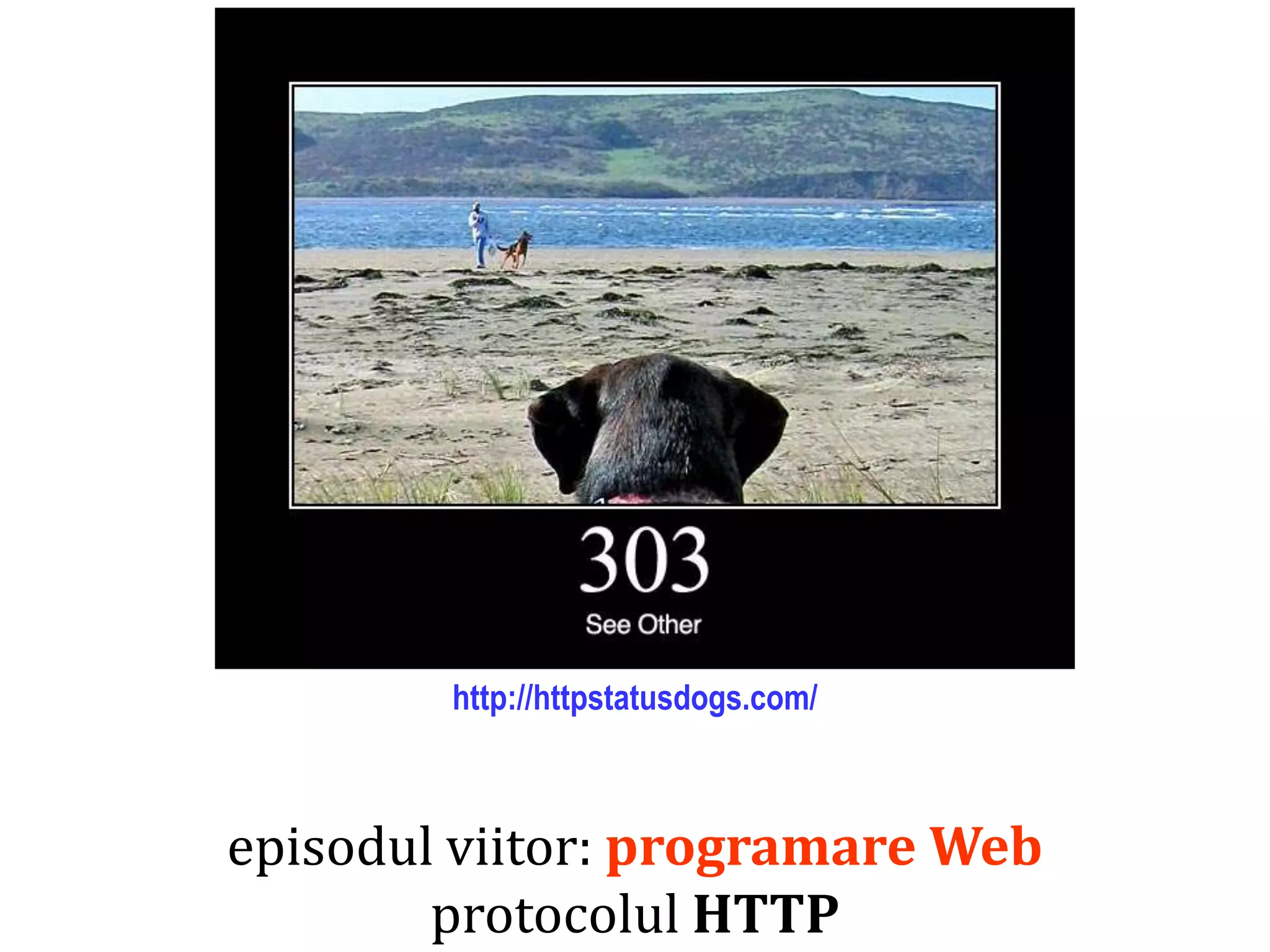 Dr.SabinBuragaprofs.info.uaic.ro/~busaco/
episodul viitor: programare Web
protocolul HTTP
http://httpstatusdogs.com/
 