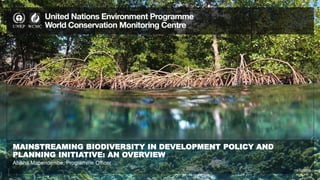 MAINSTREAMING BIODIVERSITY IN DEVELOPMENT POLICY AND
PLANNING INITIATIVE: AN OVERVIEW
19/12/2016
Abisha Mapendembe, Progra...