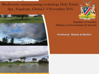 Department of Environmental AffairsDepartment of Environmental Affairs
Biodiversity mainstreaming workshop, Holy Trinity
S...